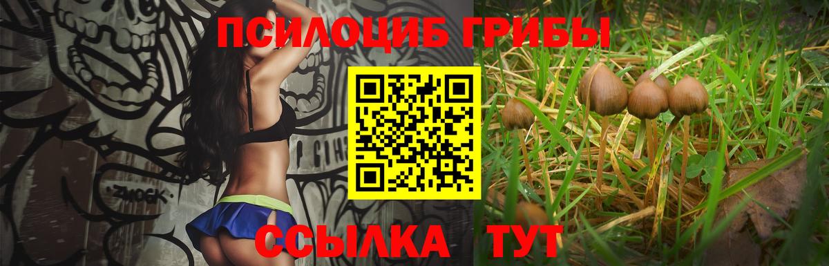 Каннабис Кизилюрт