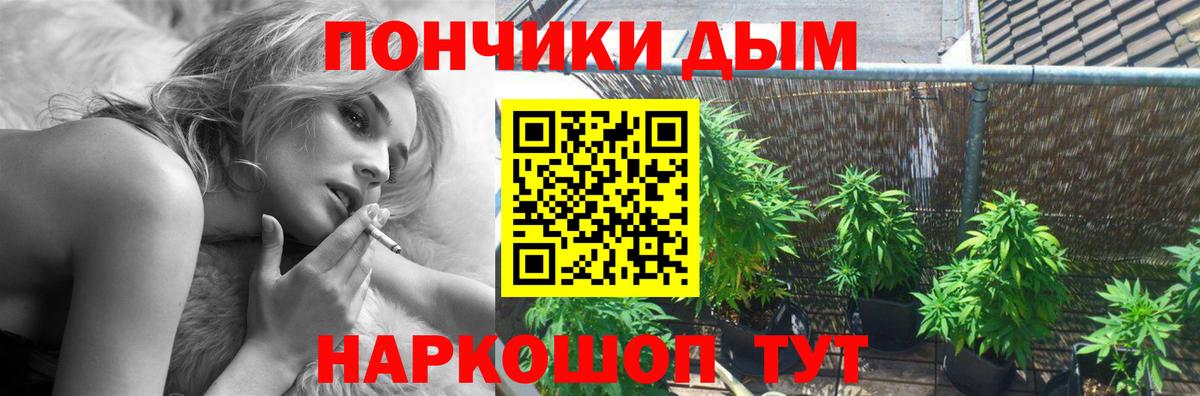 Шишки марихуана Amnesia Кизилюрт